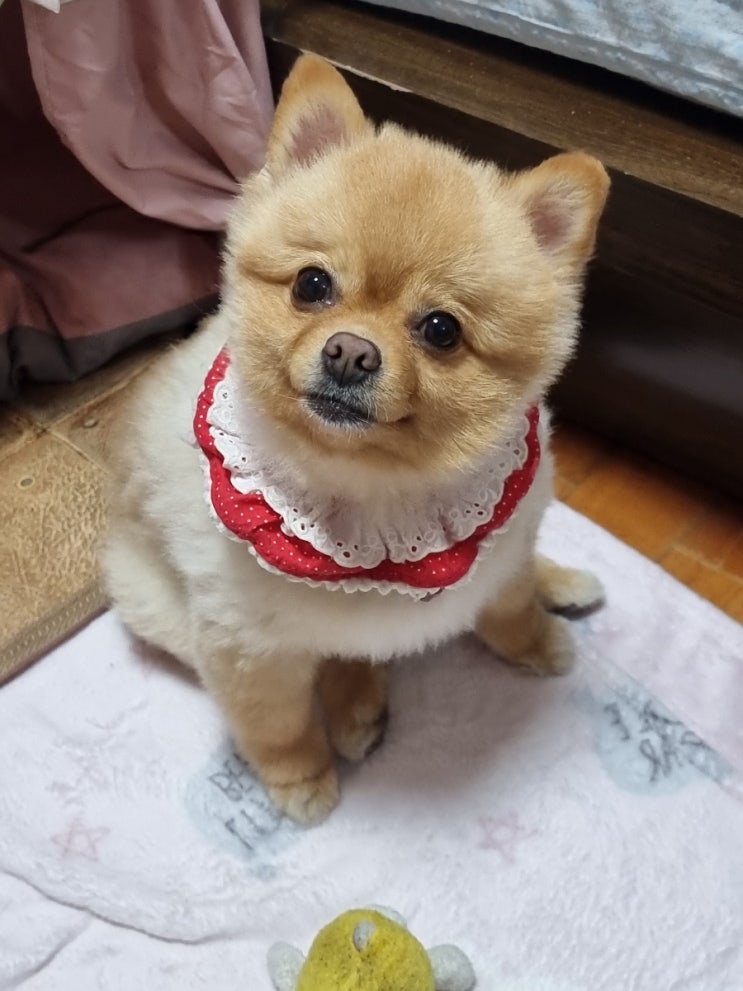  사진 찍을맛 나는 모델 사랑쓰~