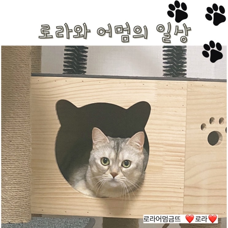  [카카오톡 선물하기]알럽하우스 / 피타 홈카페 유리컵 선물받았어요