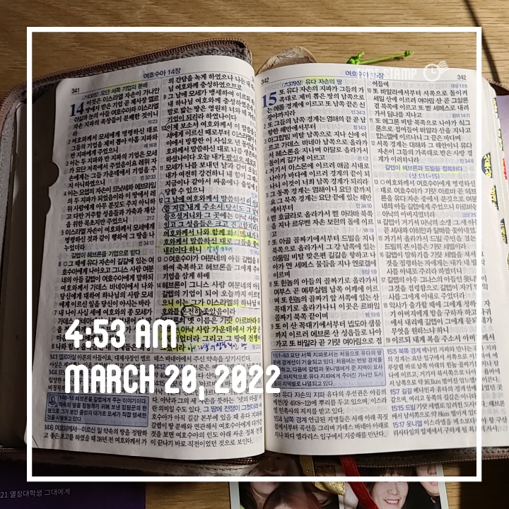 감사챌린지-6일