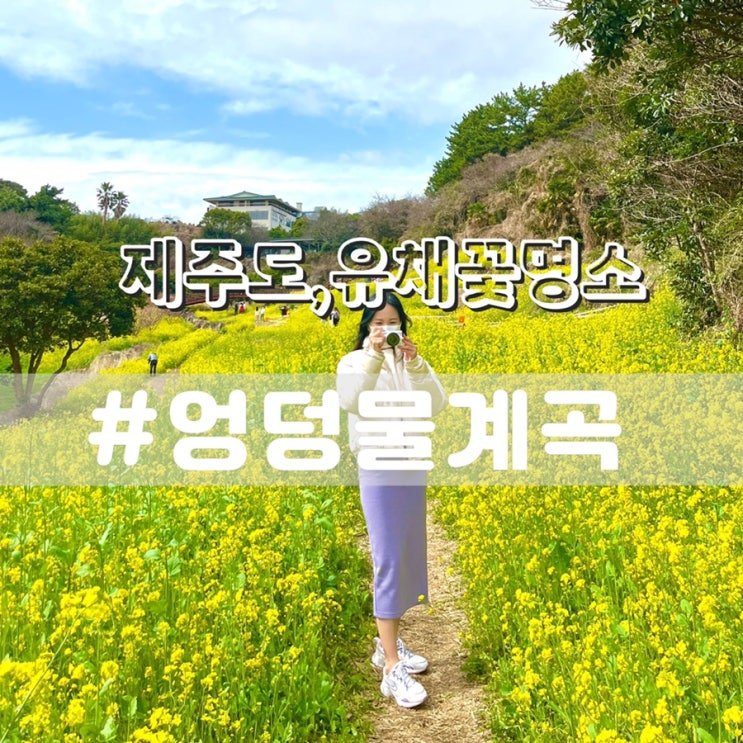  제주도 유채꽃명소 엉덩물계곡/ 제주여행 제주도가볼만한곳 추천