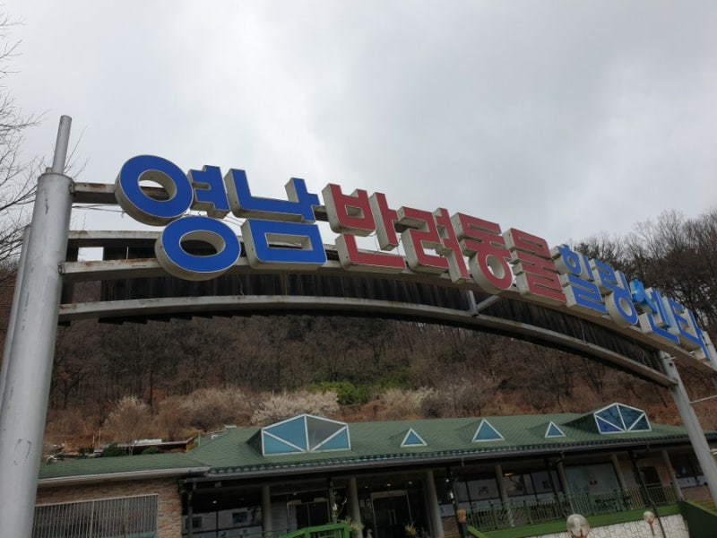 영남반려동물힐링센터