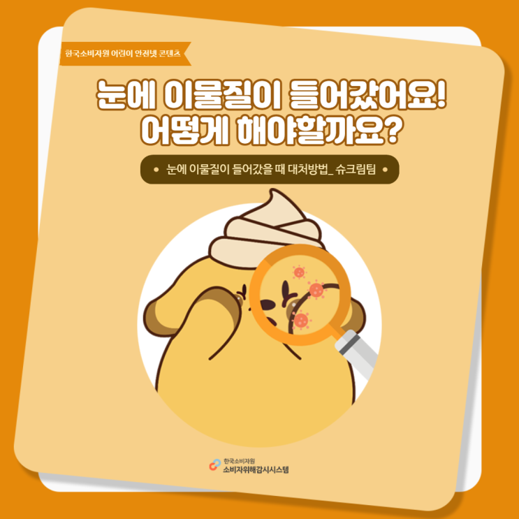  "눈에 이물질이 들어갔어요! 어떻게 해야할까요?" 눈에 이물질이 들어갔을 때 대처방법_ 소비자안전모니터 6기 팀 슈크림