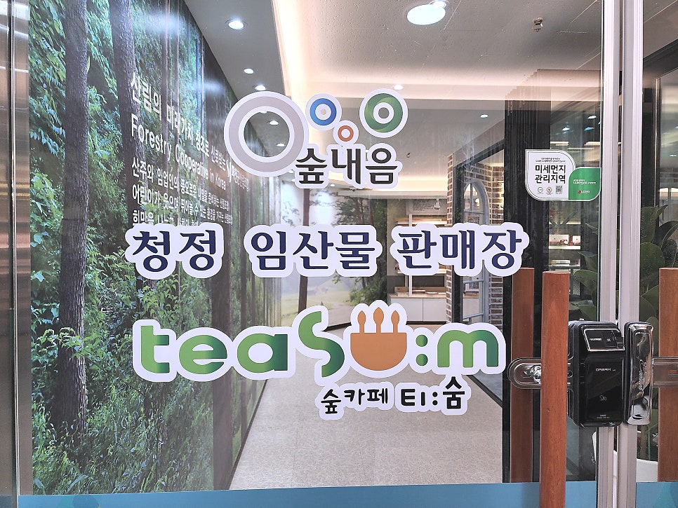 티숨 사진 6