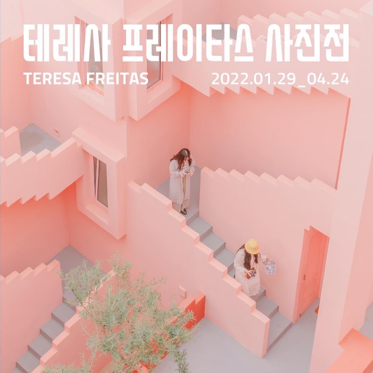  [전시회 추천] 봄날 꽃향기가 날 것 같은 전시회, 테레사 프레이타스 사진전