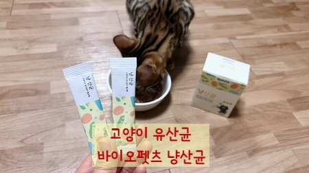고양이 묽은똥 고양이유산균 바이오펫츠 냥산균