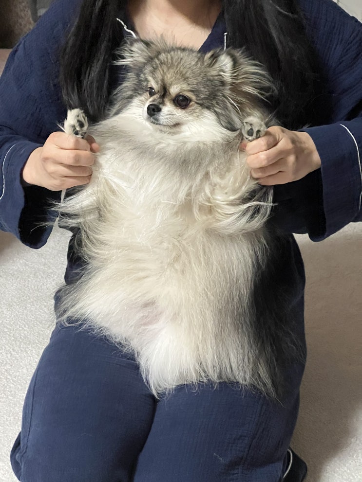  보디빌딩 포즈를 취하는 꾸꾸