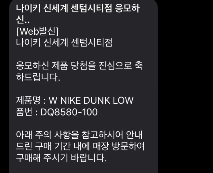  나이키 덩크 응모 당첨 후기(feat.부산행)