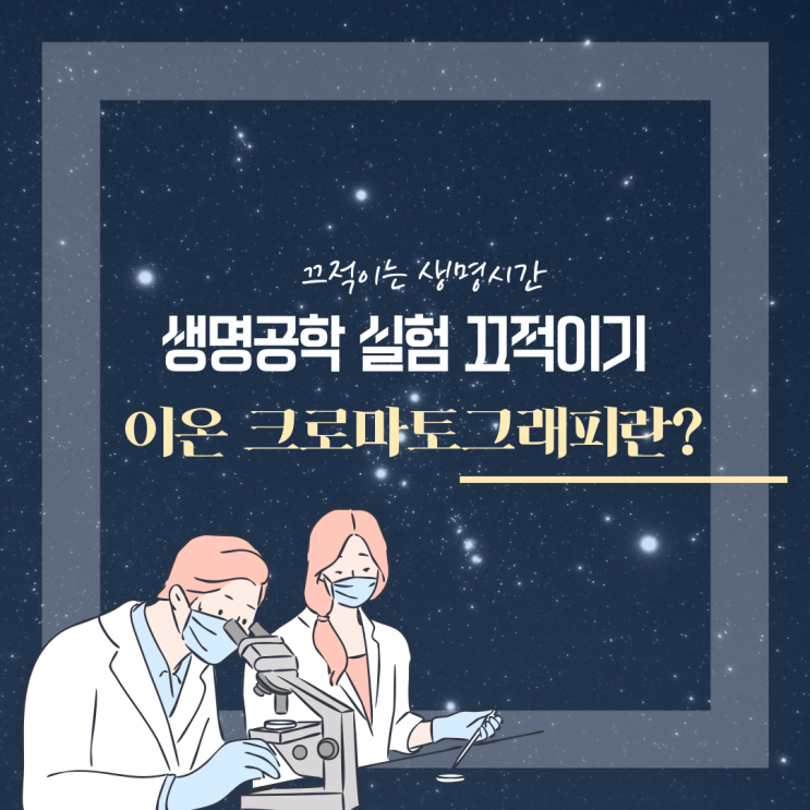  [크로마토그래피]이온 크로마토그래피란?