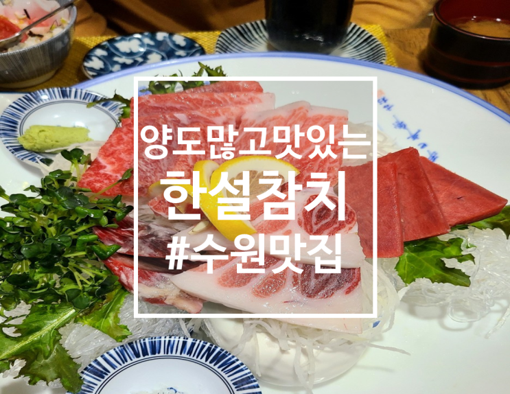  양도 많고 뱃살이 맛잇는 수원 참치 맛집, 한설참치