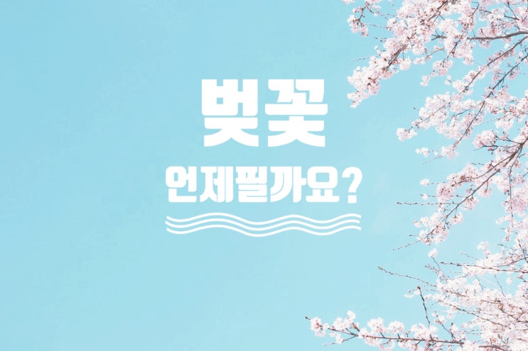  2022 벚꽃 개화시기/안동, 진해 벚꽃축제 취소