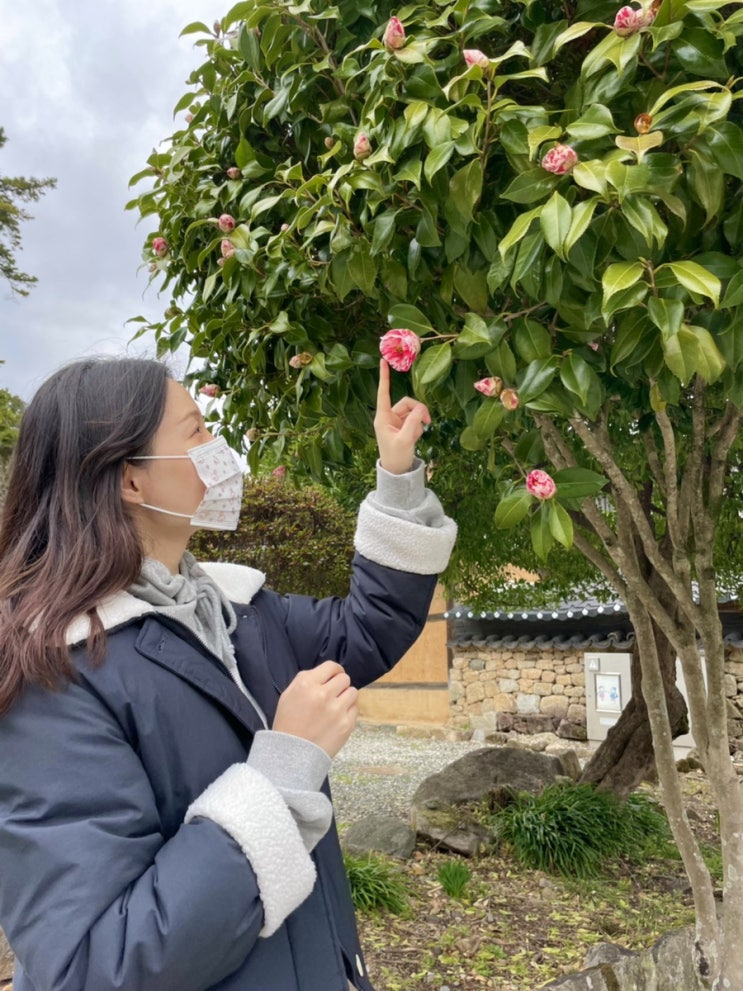  순천 여행-선암사 봄꽃 매화 3월 유네스코 세계문화유산 국내 전라도 주말 드라이브 산책 코스