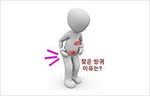 빈뇨와 방귀(가스 정체)