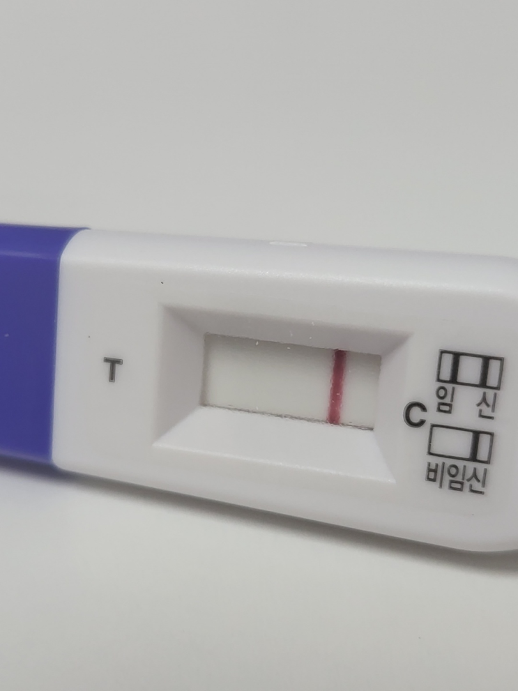  미혼 임신 첫번째 시도 : 배란 6일째. 벌써 임테기 두줄?! + 배란 6일째 피검사 결과