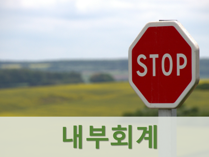  내부회계관리제도 개념 및 운영실태보고서