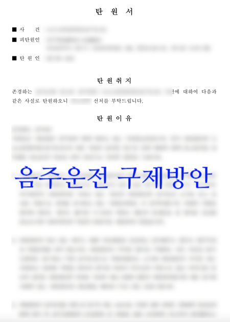 음주운전 외국인음주운전 구제 방안 음주운전 외국인음주운전 구제 방안