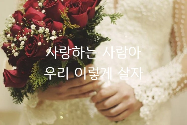  사랑하는 사람아 우리 이렇게 살자