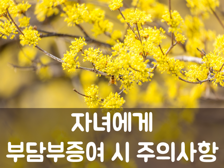  자녀에게 부담부증여 시 주의사항