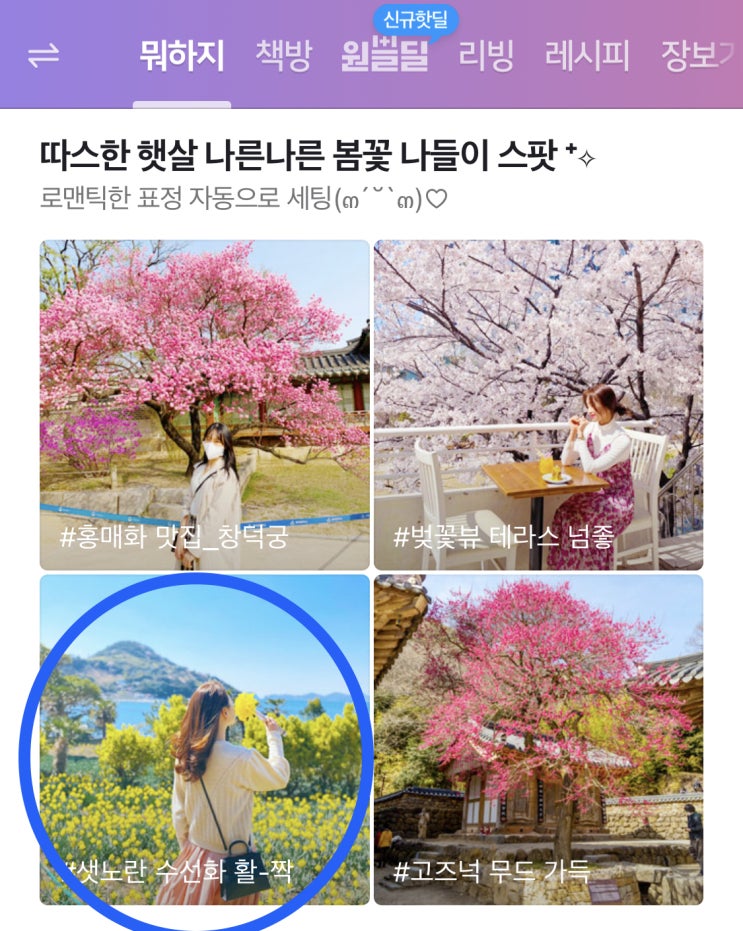 거제도 공곶이 수선화 글이 '네이버 뭐하지판' 메인 화면에 소개되었어요. 거제도 공곶이 수선화 글이 '네이버 뭐하지판' 메인 화면에 소개되었어요.