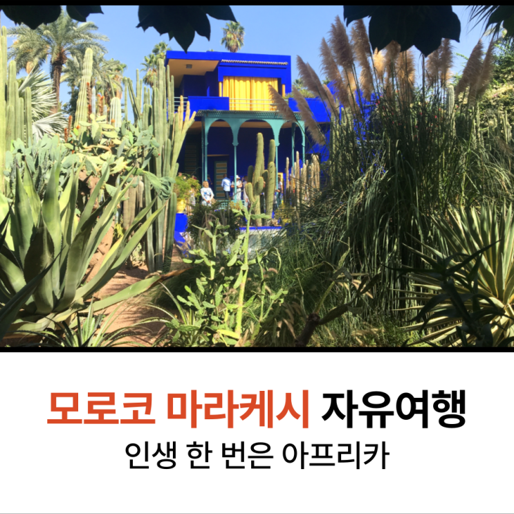  모로코 마라케시 커플여행 떠나보자 2편