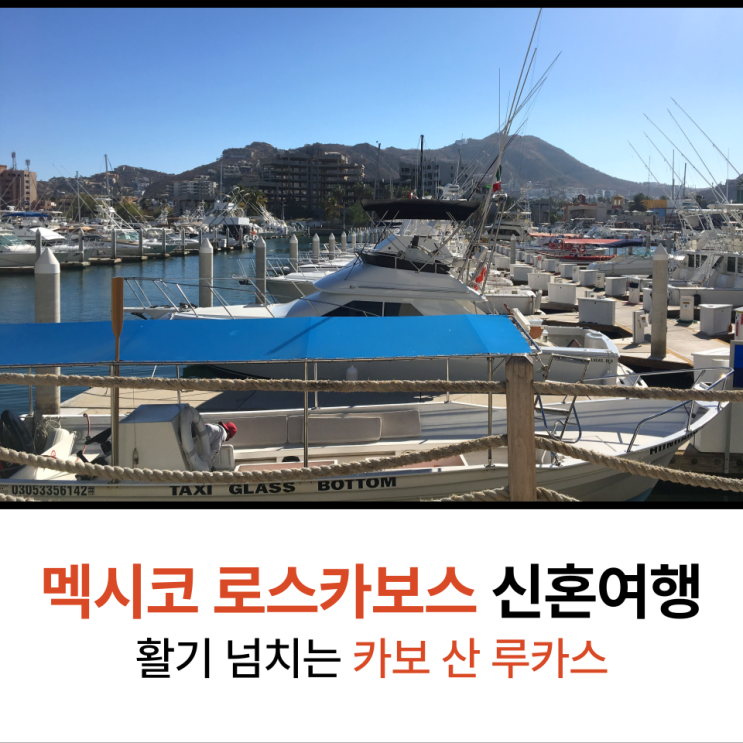  멕시코 신혼여행 로스카보스 5일 6일차  카보 산 루카스 즐기기