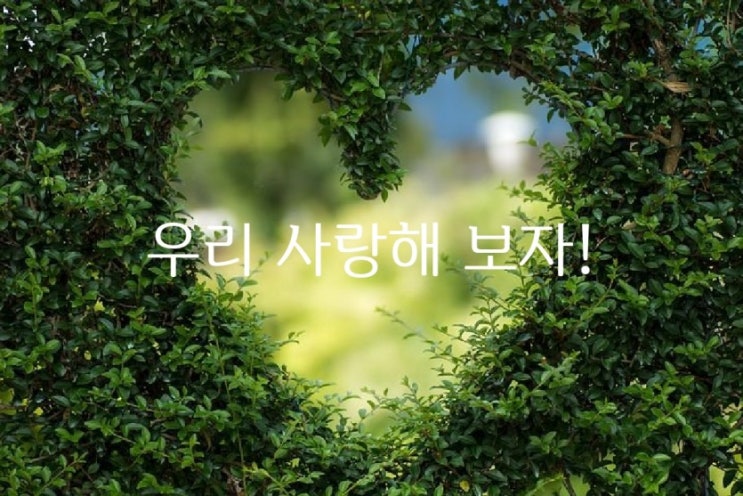  우리 사랑해 보자!