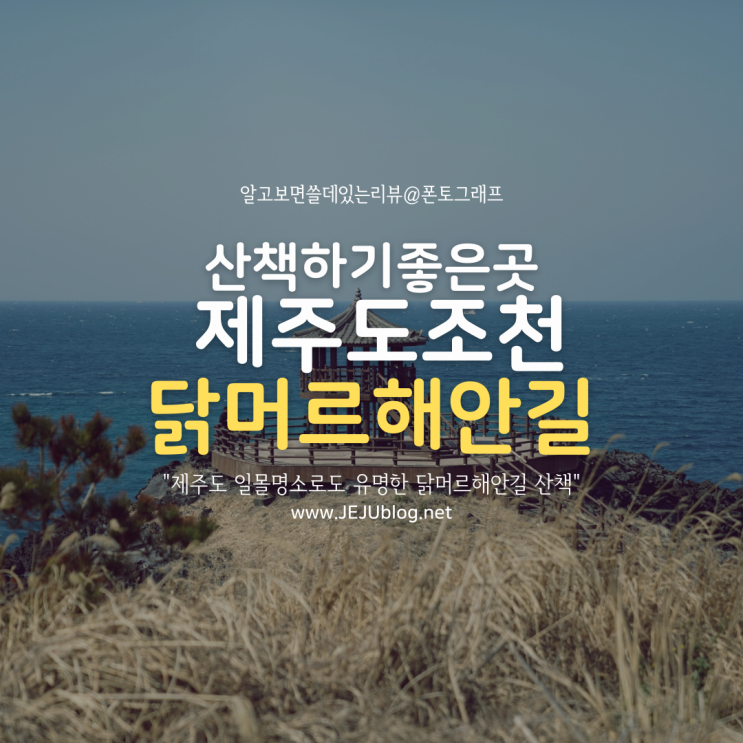  제주도 힐링명소 닭머르해안길~ 조용히 산책하기 좋은 조천 닭머르 전망대!