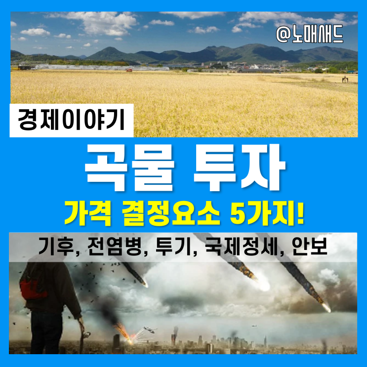 농산물, 곡물 ETF, ETN 투자 하기 전 체크하자. 곡물시세 확인방법 및 가격 영향요소 농산물, 곡물 ETF, ETN 투자 하기 전 체크하자. 곡물시세 확인방법 및 가격 영향요소