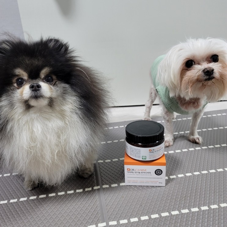 강아지종합비타민 : 면역력 강화 닥터캐닌 로가닉비타