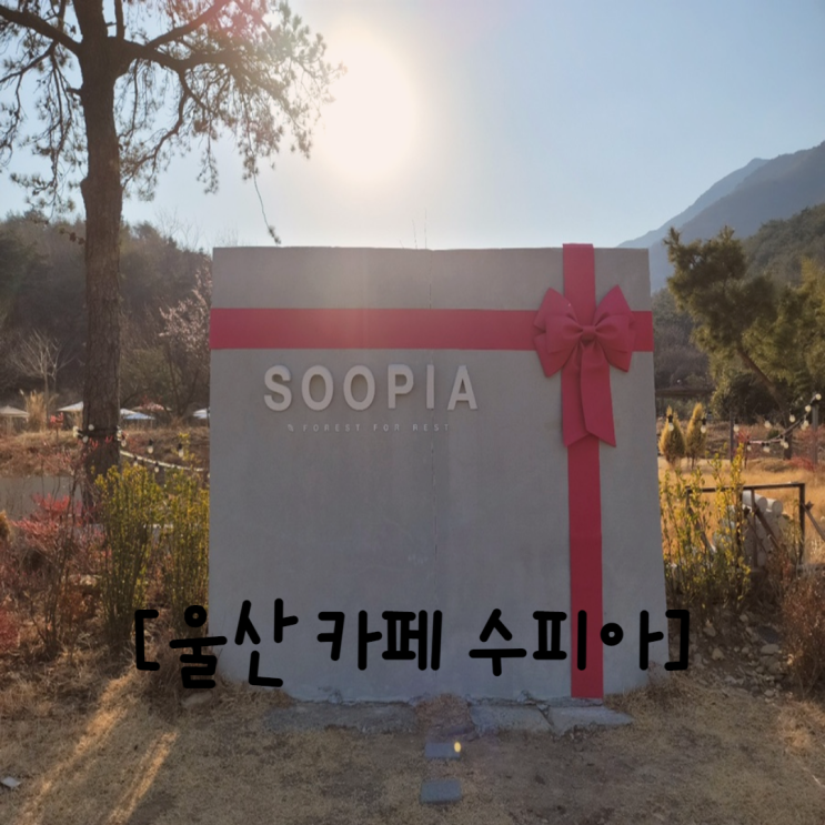  울산 울주군 삼남면 카페 수피아 아이와 함께 넓은 자연 속 힐링 하고 싶다면