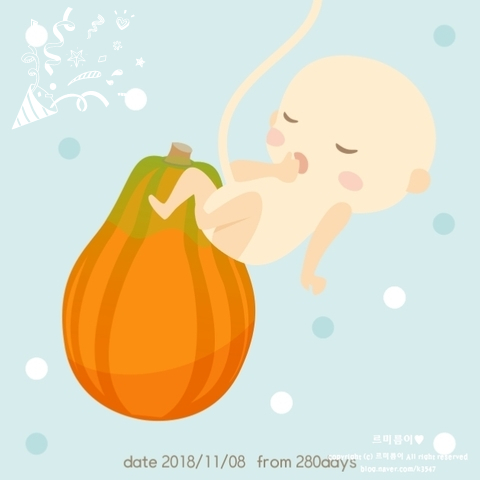 임산부 자궁경부길이 전치태반 하위태반 임신 21주 24주 31주