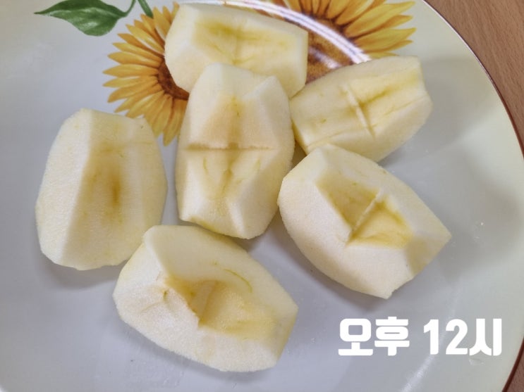  식이조절 다이어트, 간헐적단식(16:8)_47