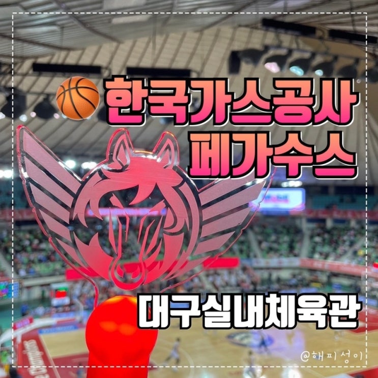  한국가스공사 페가수스 농구직관후기 @선수단 토크콘서트