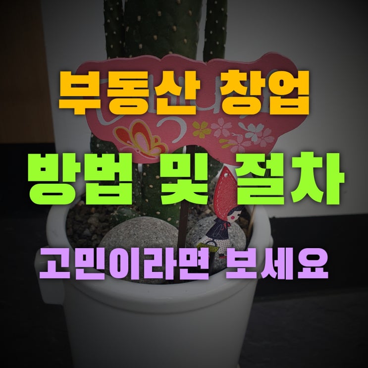  부동산창업(개업) 방법 및 절차 사무실 위치부터 사업자 등록까지 1편