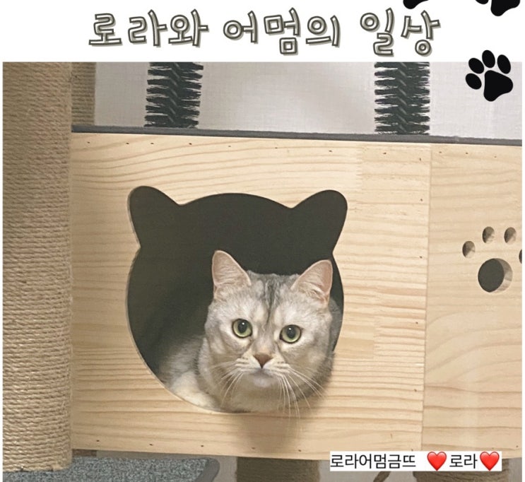  대구 달성시장 , 꽃돼지떡볶이에서 분식포장으로 저녁먹었어요
