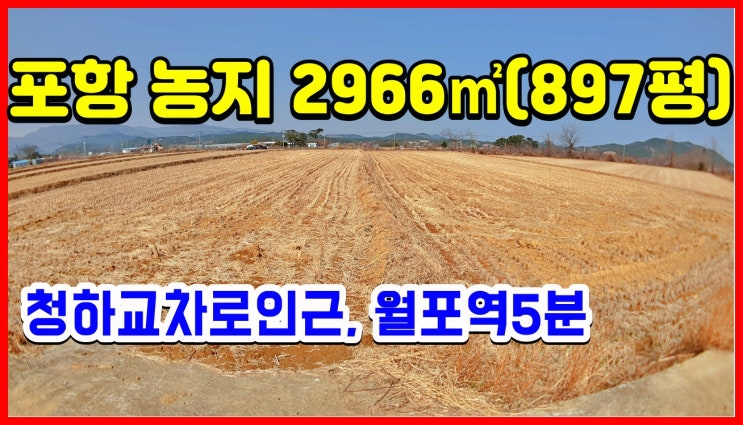 포항 청하교차로 인근 월포역5분 부동산매물 토지매매 필화리 농지 땅매매
