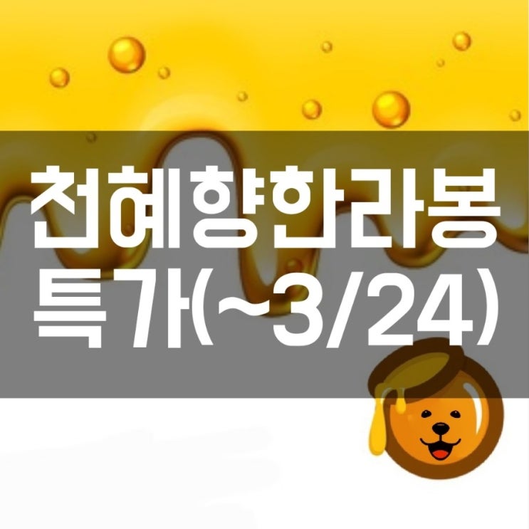  천혜향 핫딜, 한라봉 특가!!
