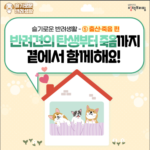 반려견의 탄생부터 죽음까지, 곁에서 함께 해주세요! 정책브리핑 반려견의 탄생부터 죽음까지, 곁에서 함께 해주세요! 정책브리핑