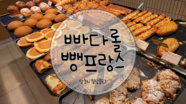 내돈내산) 동성로 벼락 맞은 빵 맛집 - 빠다롤뺑프랑스