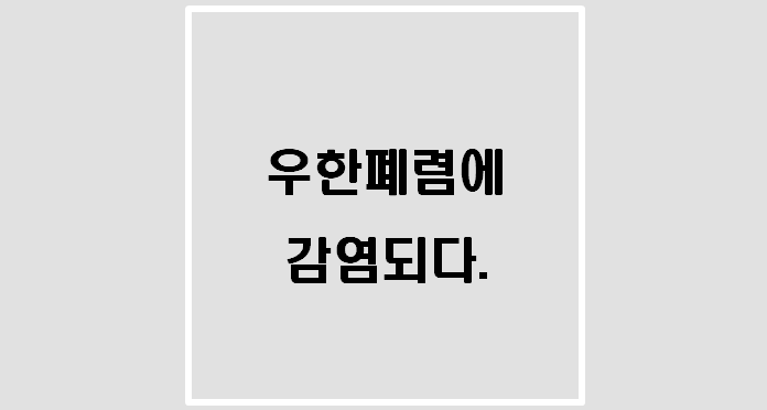  우한에서 시작한 역병에 감염되다.(중고나라 코로나 마스크 판매)