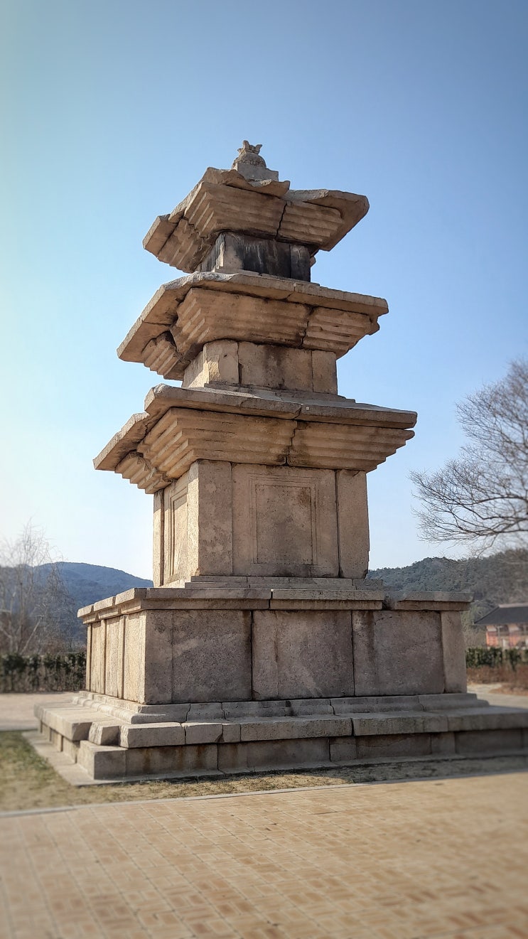  국립경주박물관 볼거리 추천, 고선사지 삼층석탑