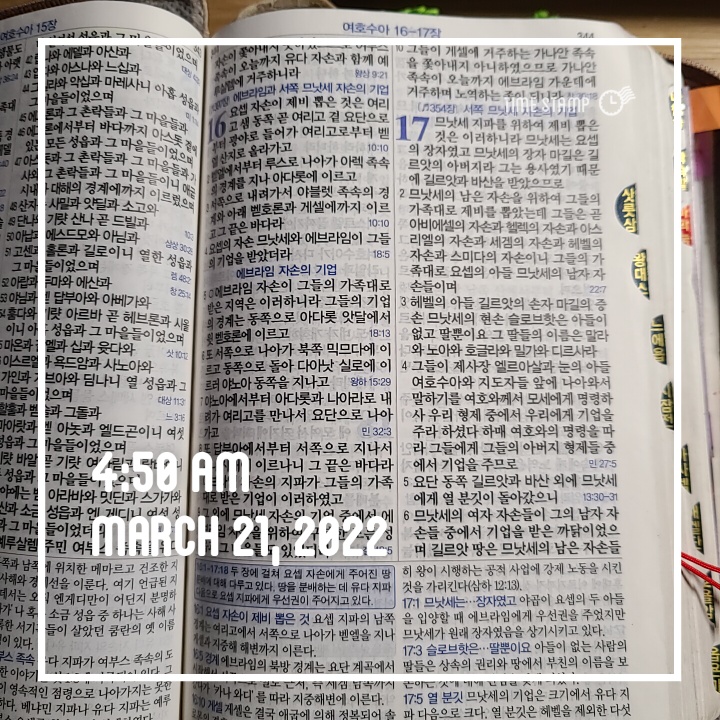  촉으로 사는 오늘을 감사-7