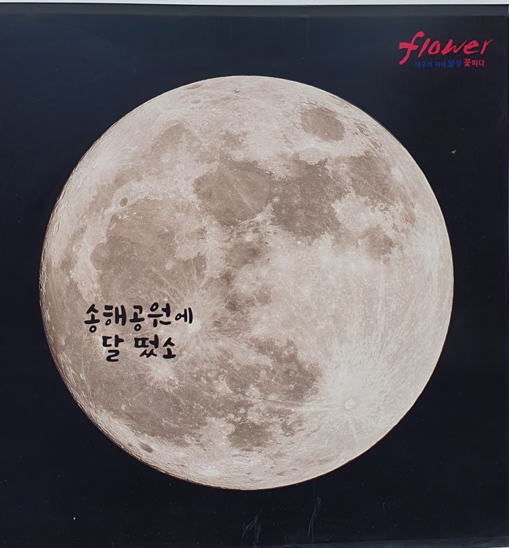  대구 송해공원 주말 나들이 (송해 기념박물관)