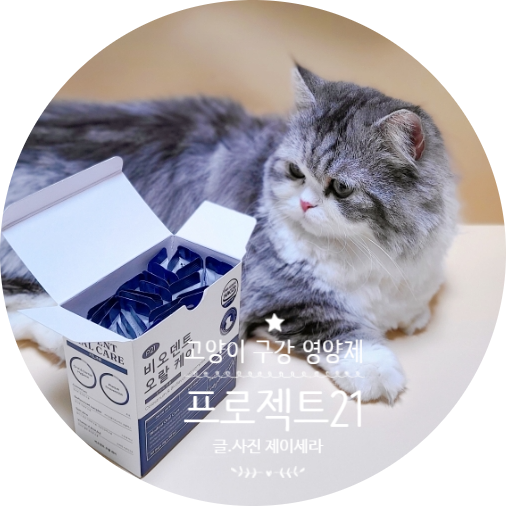  구내염과 치주염에 좋은 고양이 구강 영양제 프로젝트21 비오덴트 오랄케어를 소개합니다.