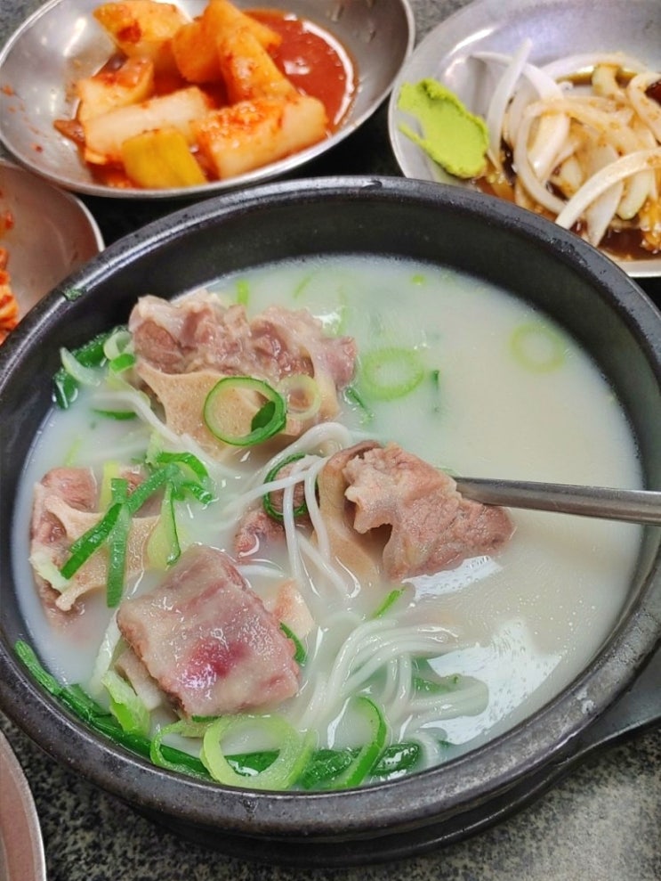  50년 평택맛집 파주옥 본점, 제대로 우려낸 곰탕, 꼬리곰탕, 도가니탕