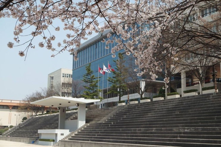  중학생이 알면좋은 마이스터고등학교 정보 서림동수학학원