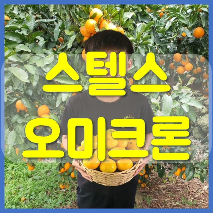  스텔스오미크론 증상 전파력 30% 높은 이유