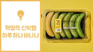  마케팅 성공 핵심요인