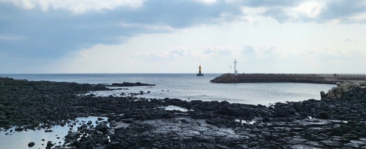  [제주2022.2] 위미항과 해양소공원 산책. 언택트 제주