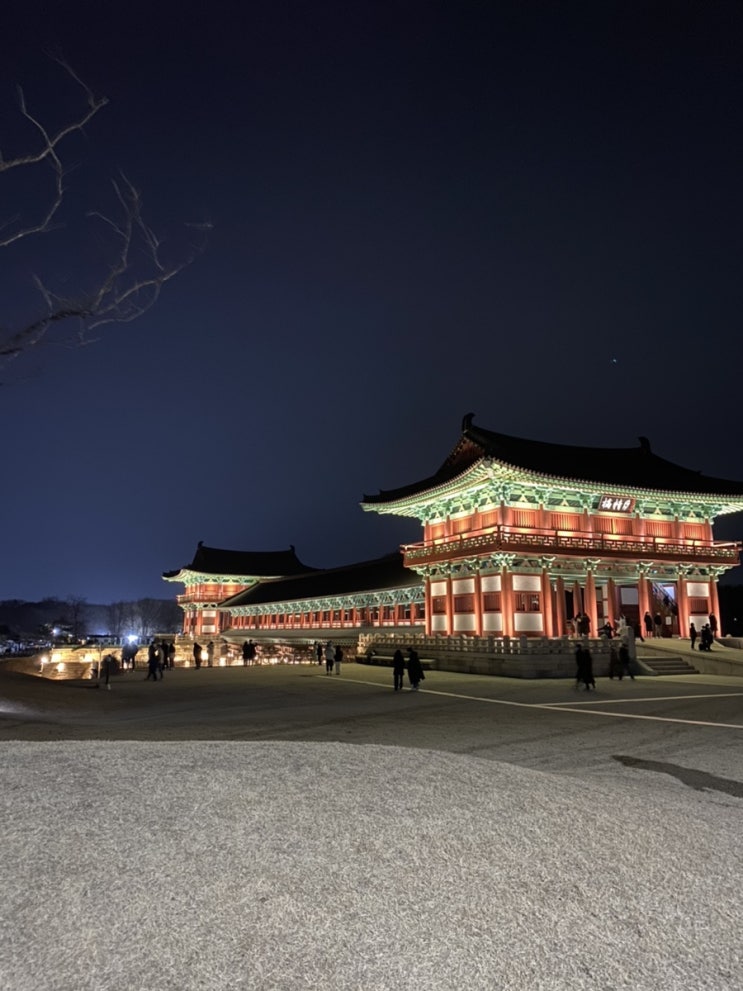  2월 셋째 주 일상