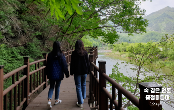  [충청미디어] 영동군민 건강 걷기 프로젝트 ‘워크온’ 큰 호응